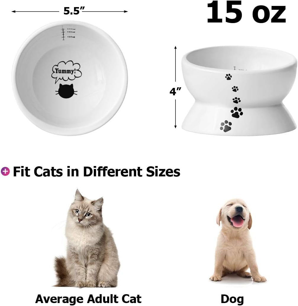 Elevated Cat Food Bowl, Raised Pet Food and Water Bowl for Cat and Small Dog, Tilted Ceramic Water Bowl No Spill,15Oz, Dishwasher Safe