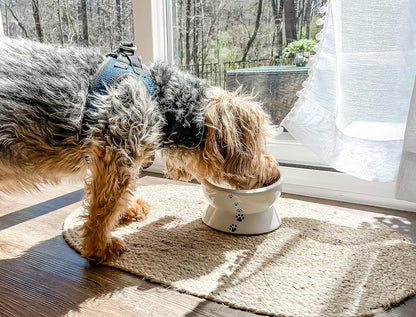 Elevated Cat Food Bowl, Raised Pet Food and Water Bowl for Cat and Small Dog, Tilted Ceramic Water Bowl No Spill,15Oz, Dishwasher Safe